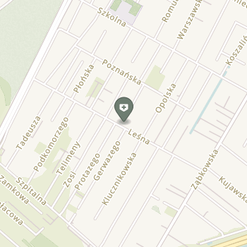 Zakład Pielęgnacyjno-Opiekuńczy Pałac na mapie