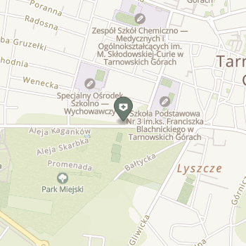 Gabinet Masażu i Rehabilitacji Katarzyna Bichalska-Daniel na mapie