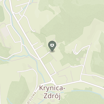 SPZOZ Sanatorium Uzdrowiskowe Ministerstwa Spraw Wewnętrznych i Administracji w Krynicy-Zdroju na mapie