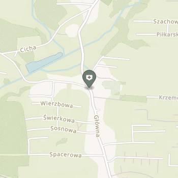 Klinika Nieborowice na mapie