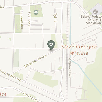 Danrech - Specjalistyczny Transport Medyczny na mapie