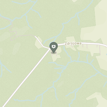 Niepubliczny Ośrodek Pielęgnacyjny "Brzozów-Zdrój" na mapie