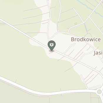 Alfamed NZOZ w Jasionce na mapie