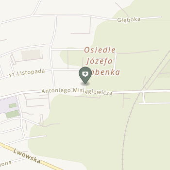 NZOZ Przeworskie Centrum Rehabilitacji Ochyra & Ochyra z siedzibą 37-200 Przeworsk ul. Misiągiewicza 43 na mapie