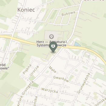 Wielicka Powiatowa Stacja Sanitarno-Epidemiologiczna na mapie