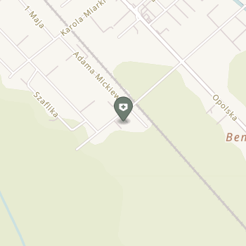 Aleksandra Dorota Wójcik-Ortenburger na mapie