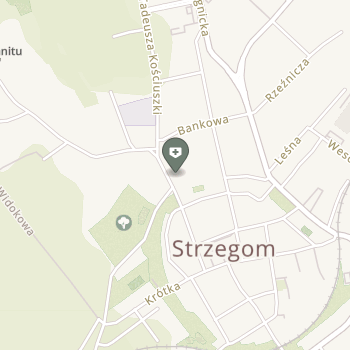 "Gravit" Zakład Usług Medycznych NZOZ na mapie