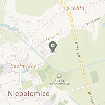 Neuroeeg-Med na mapie