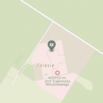 Wojewódzki Samodzielny Zespół Publicznych Zakładów Opieki Zdrowotnej im. Profesora Eugeniusza Wilczkowskiego w Gostyninie na mapie