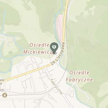 Psse w Ustrzykach Dolnych na mapie