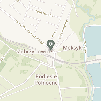 Trzy Doktorki na mapie