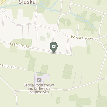 Przychodnia Lupus na mapie