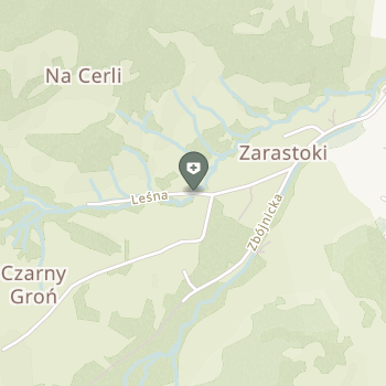 Hotele Gorzelanny Działalność Lecznicza na mapie