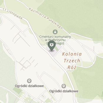 Usługi Lecznicze na mapie