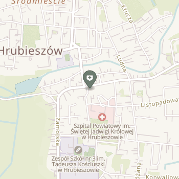 SPZOZ w Hrubieszowie na mapie