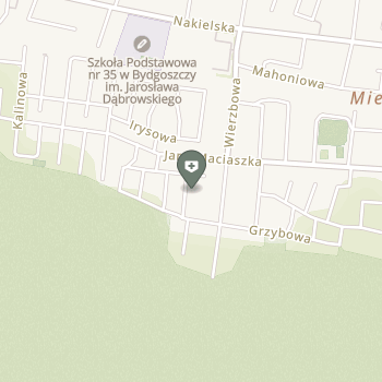 Ośrodek Terapii Uzależnień "Borowikowa" Tomasz Wachowiak na mapie