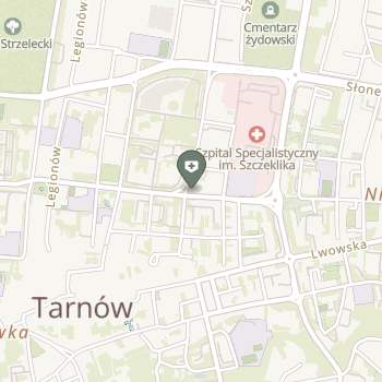 Holi-Med Magdalena Gilewska Specjalistyczne Centrum Usług Medyczno-Opiekuńczych na mapie