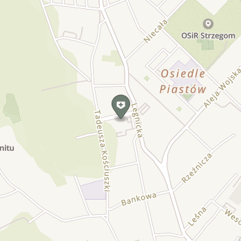 Strzegomskie Centrum Medyczno - Diagnostyczne na mapie