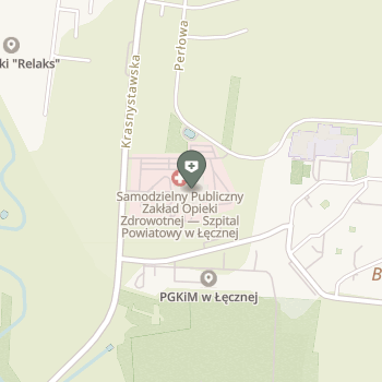 SPZOZ w Łęcznej na mapie