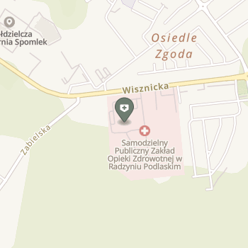 SPZOZ w Radzyniu Podlaskim na mapie