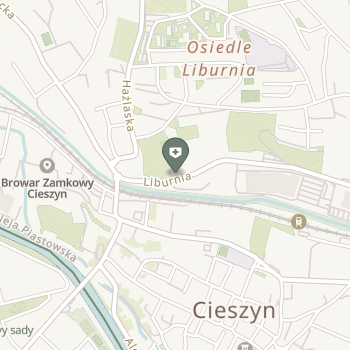 Centrum Stomatologiczno-Medyczne Park Medical na mapie