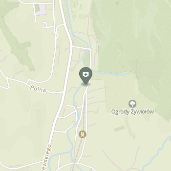 Sanatorium nad Kryniczanką na mapie