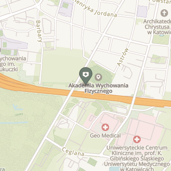 Acm-Awf Katowice na mapie