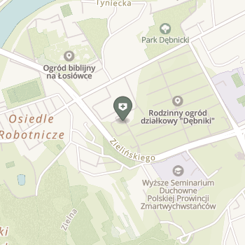 Małgorzata Rzepecka - Kraków na mapie