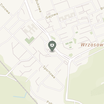 Fizjoneuromechanika na mapie