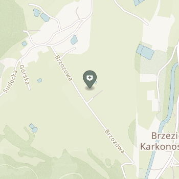 Centrum Rehabilitacji Rehamaluch na mapie