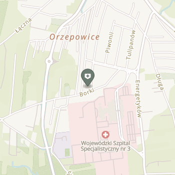 Gabinety Borki Gabinet Stomatologiczny Wojciech Stysz na mapie