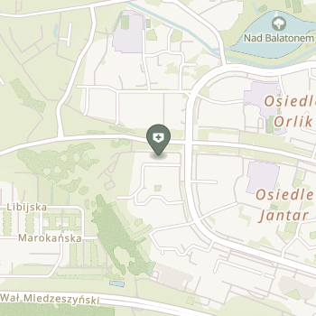 Centrum Medyczne Boraclinic na mapie