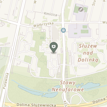 Instytut Ozonoterapii Salus–medycyna Komplementarna na mapie