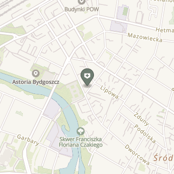 Brain Institute na mapie