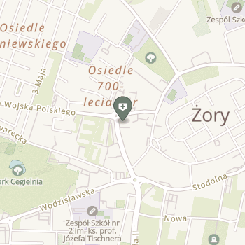 Przychodnia Strzeżyk na mapie
