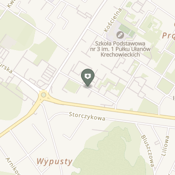 Dees Rehabilitacja Dzieci i Młodzieży na mapie