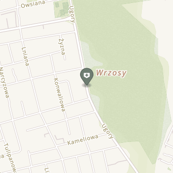 Kse Stomatologia na mapie