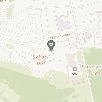 Dentalis Stomatologia na mapie