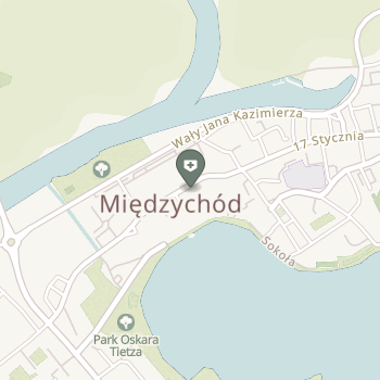 Prosmile Dentistry Międzychód na mapie