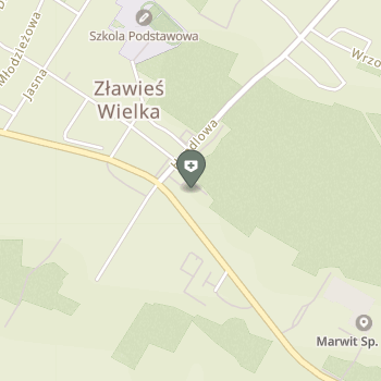 Eikon Gabinety Specjalistyczne na mapie