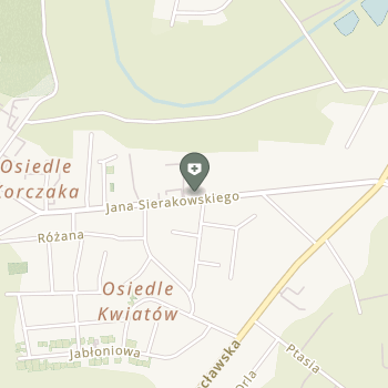 Fizjoterapia Ormika na mapie