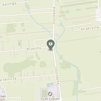 Chirurgia Plastyczna Krzysztof Szymański na mapie