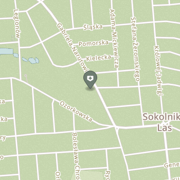 Centrum Telemedyczne Promedicus na mapie