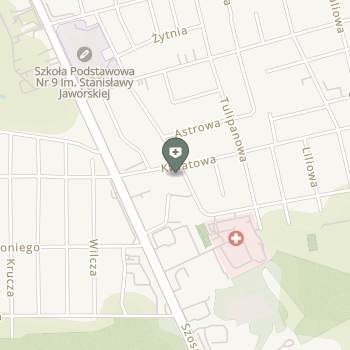 Med Republic na mapie