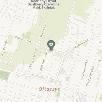 Oki Oki Ołtaszyn Optyk na mapie