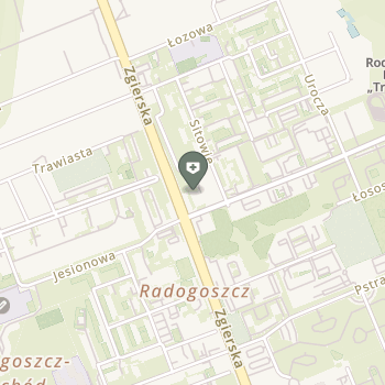 NZOZ "Lident" na mapie