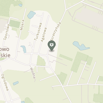 Fiz4kids - Maciej Baziuk na mapie