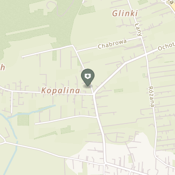 Leśna Clinic na mapie