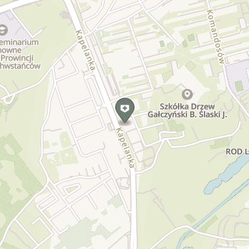 Body Move Maciej Piechota Fizjoterapia na mapie