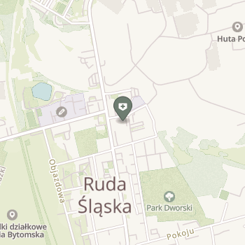 NZOZ Przychodnia Specjalistyczna A. Wittek, H. Rudzki na mapie